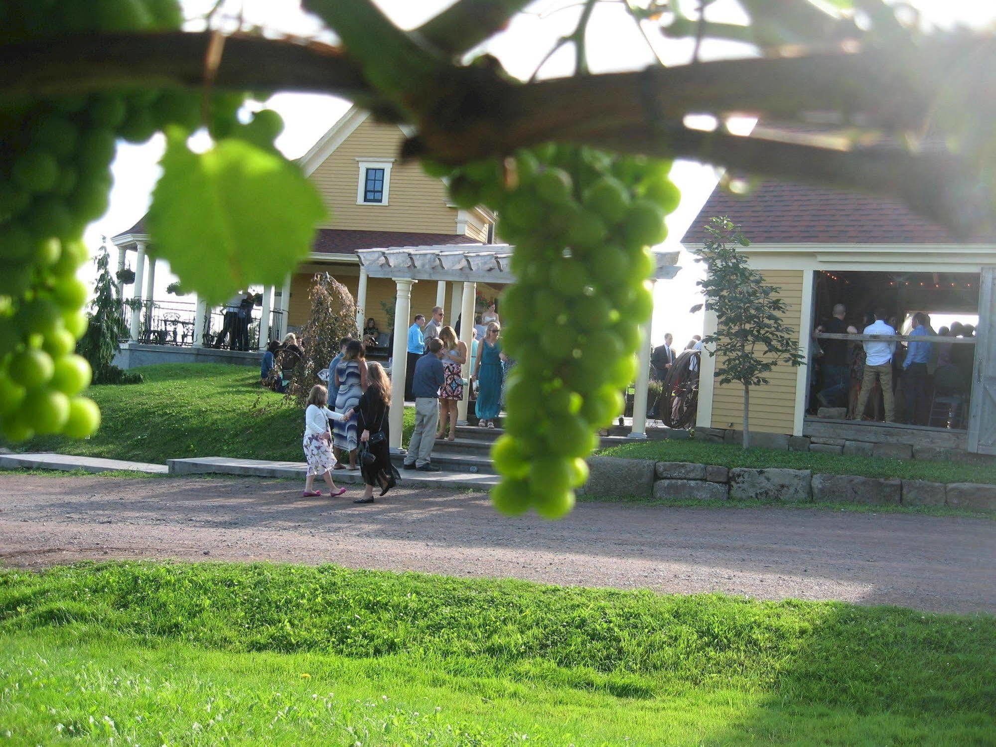 Hotel Magnetic Hill Winery Moncton Exteriér fotografie